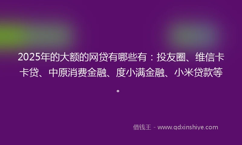 2025年的大额的网贷有哪些有：投友圈、维信卡卡贷、中原消费金融、度小满金融、小米贷款等。