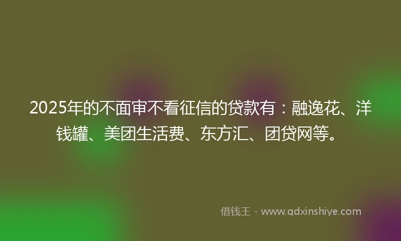 2025年的不面审不看征信的贷款有：融逸花、洋钱罐、美团生活费、东方汇、团贷网等。