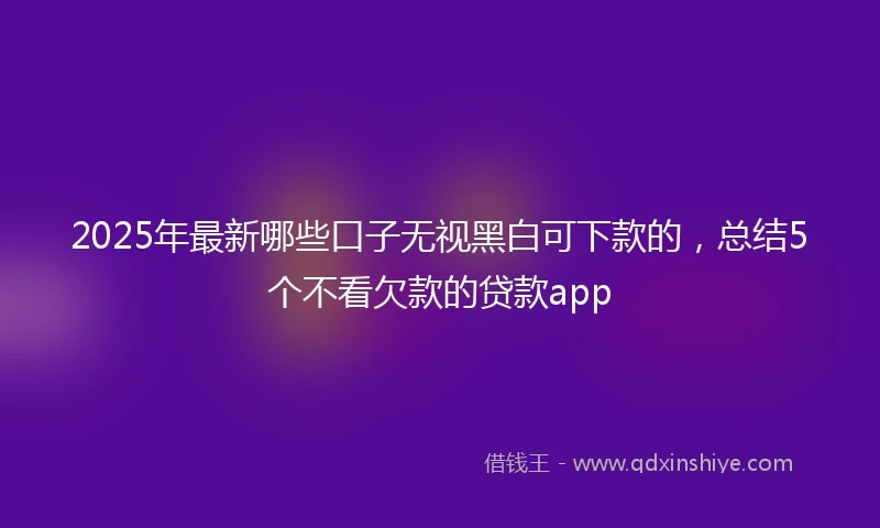 2025年最新哪些口子无视黑白可下款的，总结5个不看欠款的贷款app