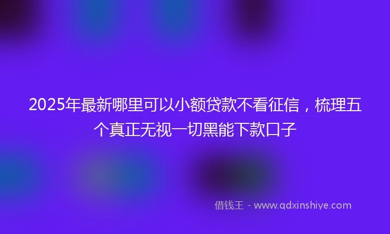 2025年最新哪里可以小额贷款不看征信，梳理五个真正无视一切黑能下款口子