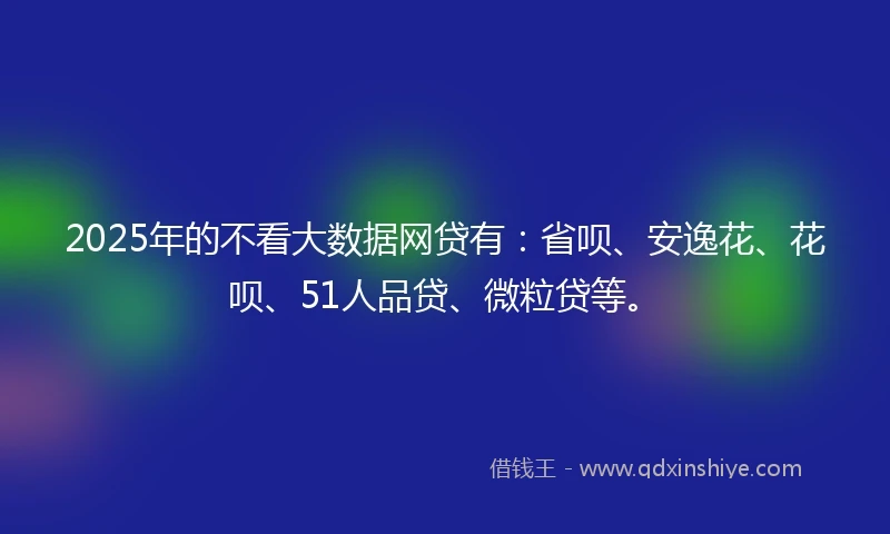 2025年的不看大数据网贷有：省呗、安逸花、花呗、51人品贷、微粒贷等。