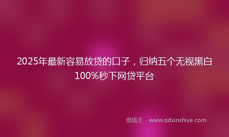 2025年最新容易放贷的口子，归纳五个无视黑白100%秒下网贷平台