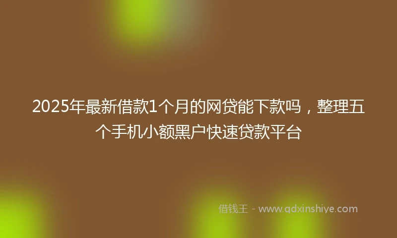 2025年最新借款1个月的网贷能下款吗，整理五个手机小额黑户快速贷款平台