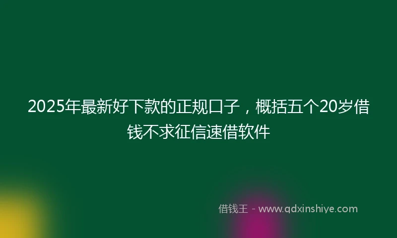 2025年最新好下款的正规口子，概括五个20岁借钱不求征信速借软件