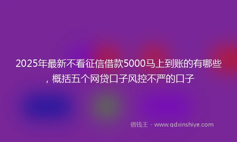 2025年最新不看征信借款5000马上到账的有哪些，概括五个网贷口子风控不严的口子
