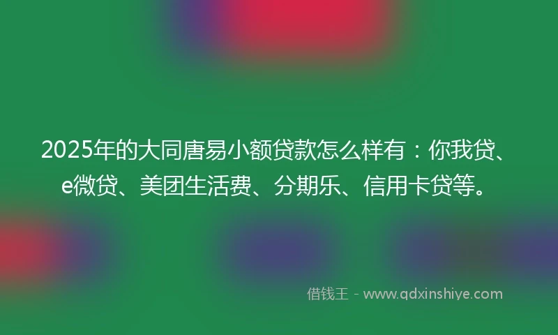 2025年的大同唐易小额贷款怎么样有:你我贷、e微贷、美团生活费、分期乐、信用卡贷等。