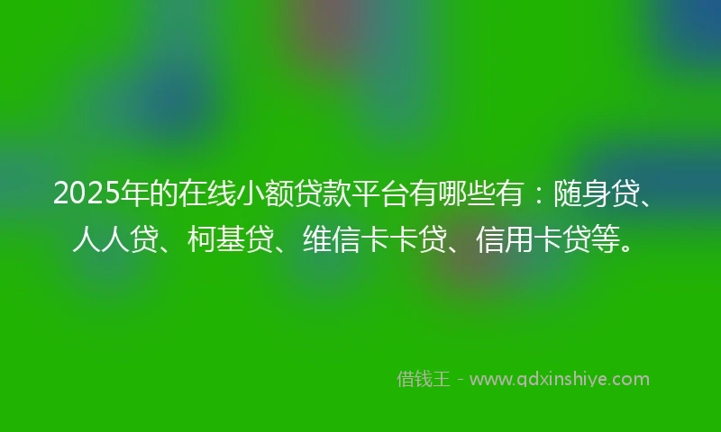 2025年的在线小额贷款平台有哪些有：随身贷、人人贷、柯基贷、维信卡卡贷、信用卡贷等。