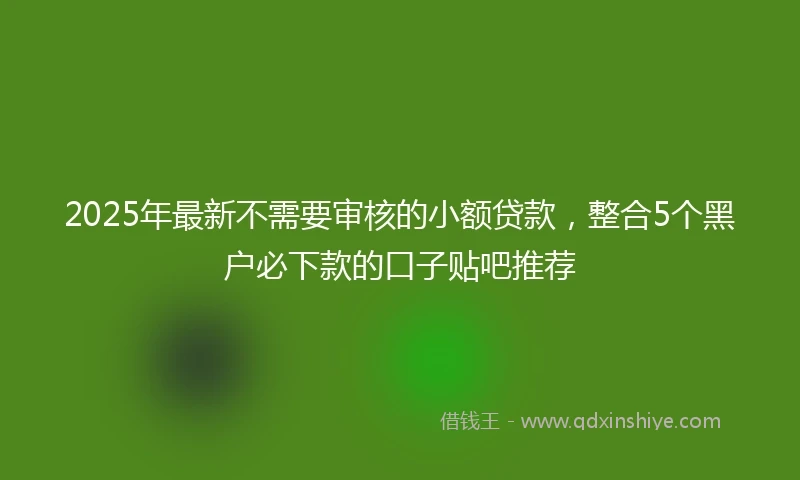 2025年最新不需要审核的小额贷款，整合5个黑户必下款的口子贴吧推荐