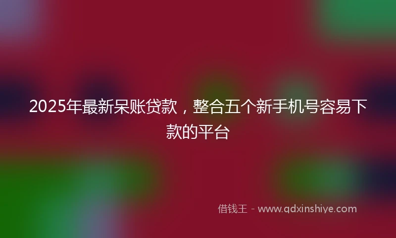 2025年最新呆账贷款，整合五个新手机号容易下款的平台