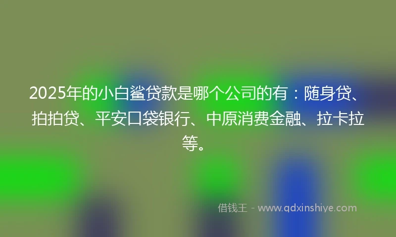 2025年的小白鲨贷款是哪个公司的有:随身贷、拍拍贷、平安口袋银行、中原消费金融、拉卡拉等。
