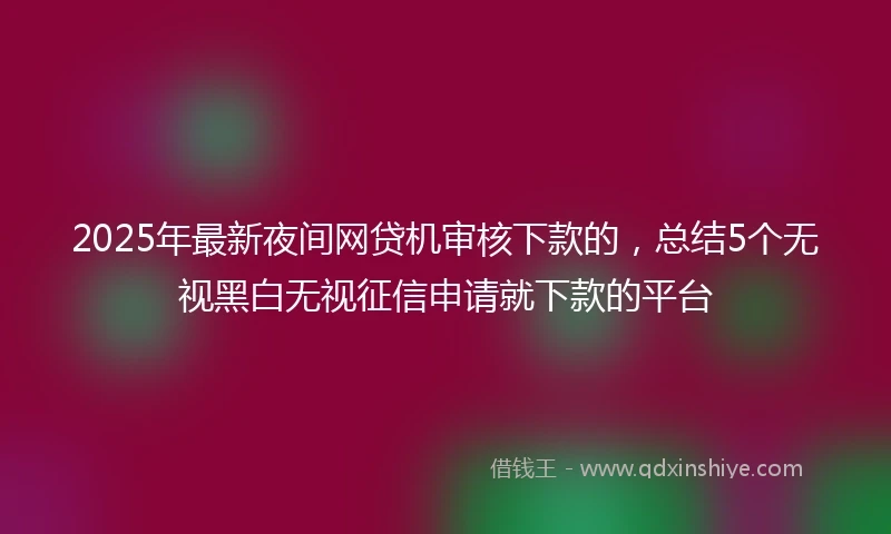 2025年最新夜间网贷机审核下款的，总结5个无视黑白无视征信申请就下款的平台