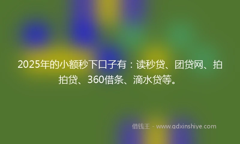 2025年的小额秒下口子有：读秒贷、团贷网、拍拍贷、360借条、滴水贷等。