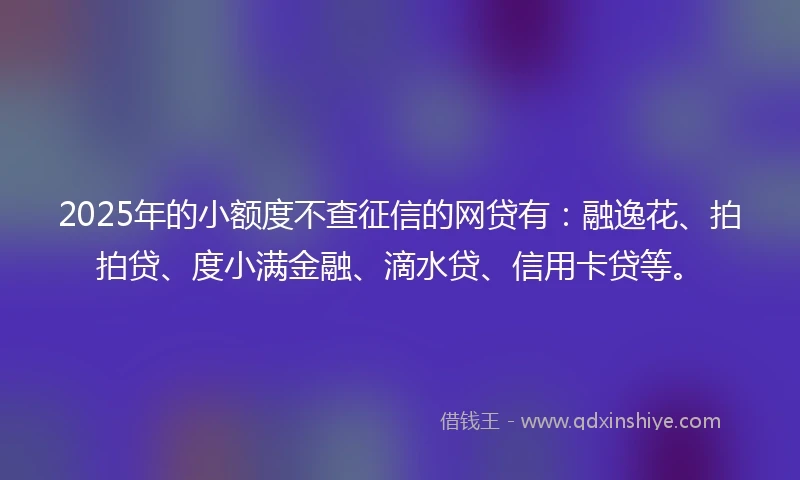 2025年的小额度不查征信的网贷有：融逸花、拍拍贷、度小满金融、滴水贷、信用卡贷等。