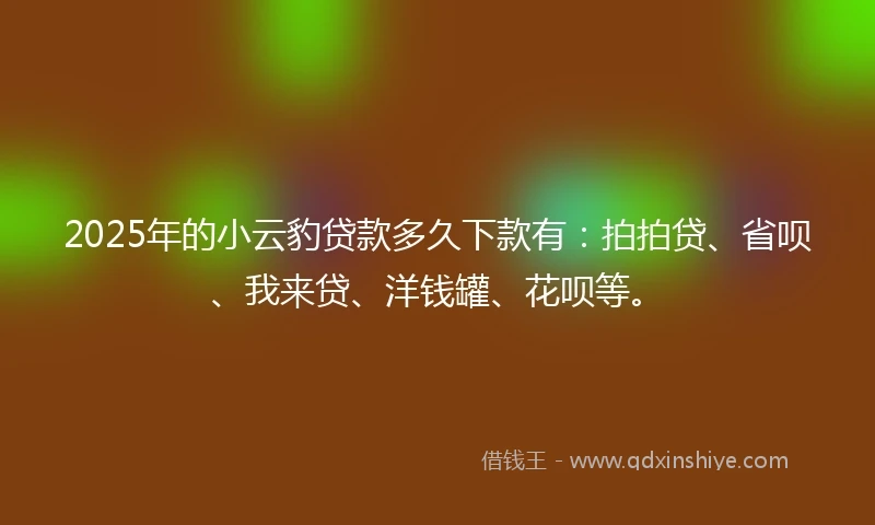 2025年的小云豹贷款多久下款有：拍拍贷、省呗、我来贷、洋钱罐、花呗等。