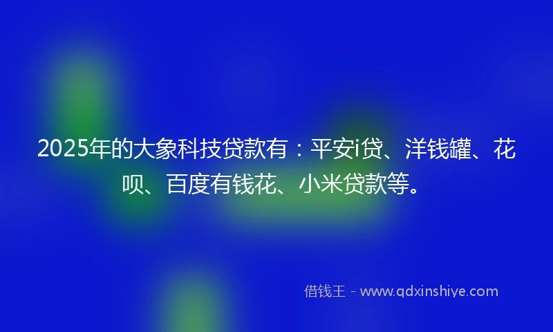 2025年的大象科技贷款有：平安i贷、洋钱罐、花呗、百度有钱花、小米贷款等。