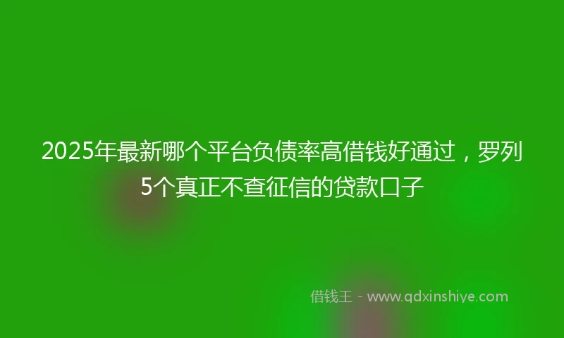 2025年最新哪个平台负债率高借钱好通过，罗列5个真正不查征信的贷款口子