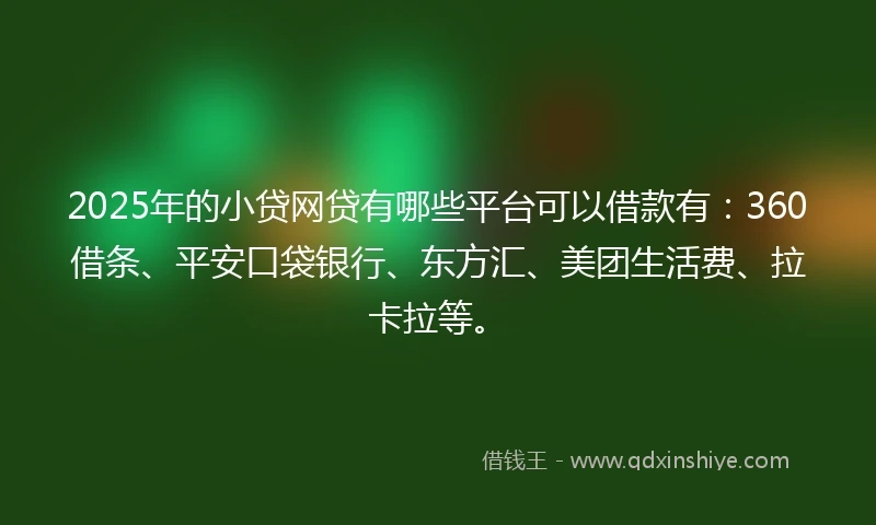 2025年的小贷网贷有哪些平台可以借款有：360借条、平安口袋银行、东方汇、美团生活费、拉卡拉等。