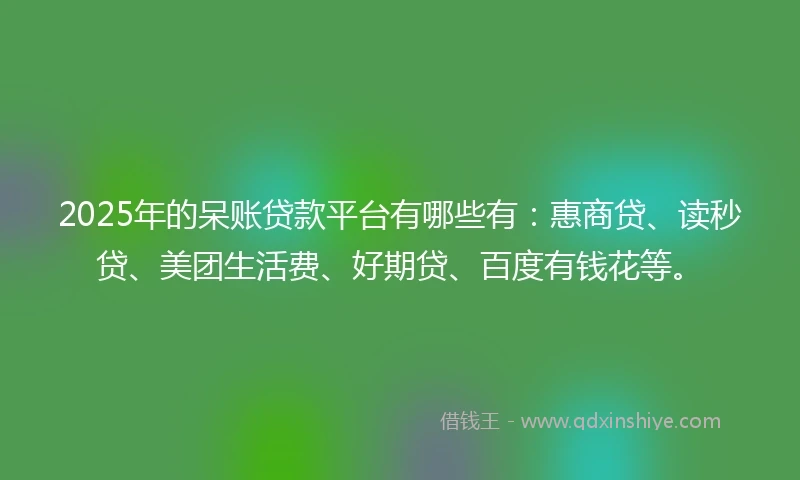 2025年的呆账贷款平台有哪些有：惠商贷、读秒贷、美团生活费、好期贷、百度有钱花等。