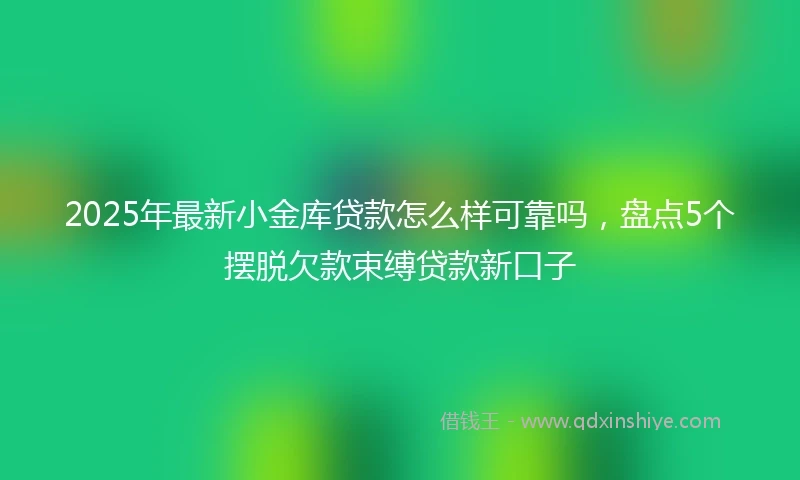 2025年最新小金库贷款怎么样可靠吗，盘点5个摆脱欠款束缚贷款新口子