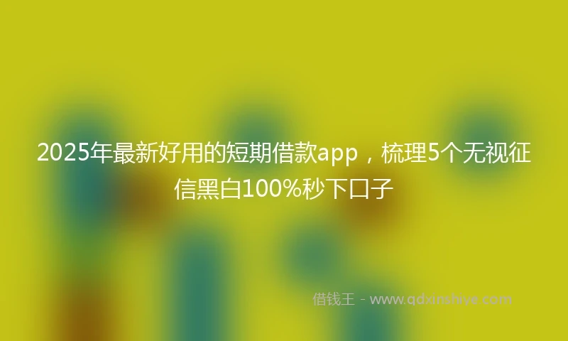 2025年最新好用的短期借款app，梳理5个无视征信黑白100%秒下口子