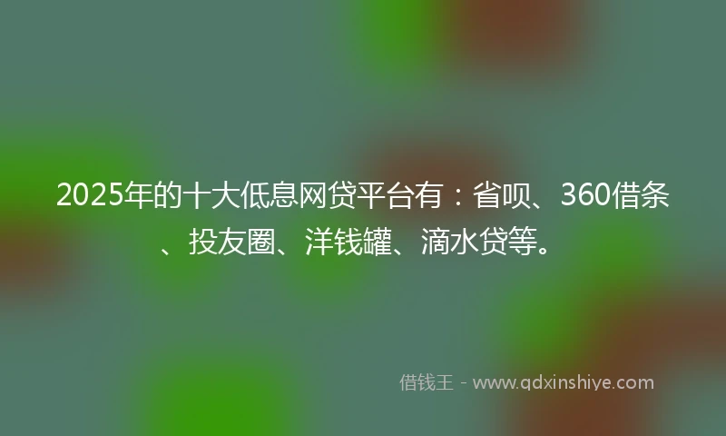 2025年的十大低息网贷平台有：省呗、360借条、投友圈、洋钱罐、滴水贷等。
