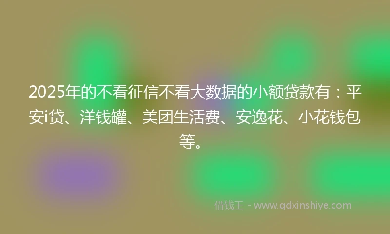 2025年的不看征信不看大数据的小额贷款有：平安i贷、洋钱罐、美团生活费、安逸花、小花钱包等。