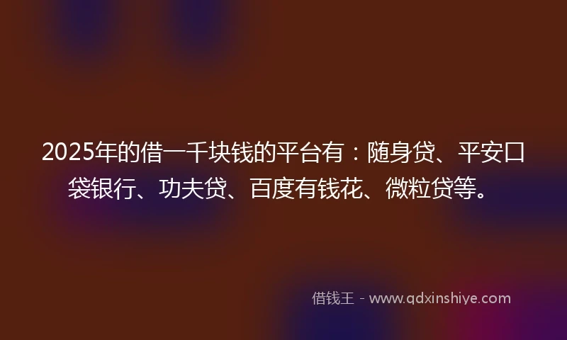 2025年的借一千块钱的平台有：随身贷、平安口袋银行、功夫贷、百度有钱花、微粒贷等。