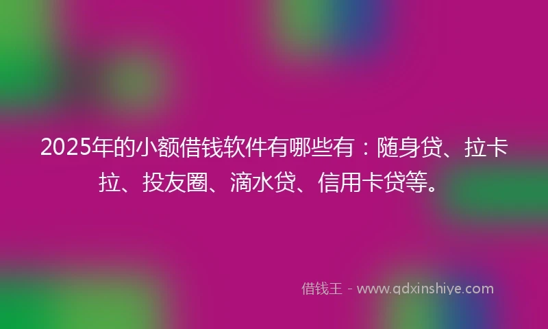 2025年的小额借钱软件有哪些有：随身贷、拉卡拉、投友圈、滴水贷、信用卡贷等。