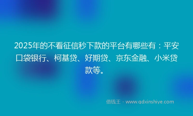 2025年的不看征信秒下款的平台有哪些有：平安口袋银行、柯基贷、好期贷、京东金融、小米贷款等。