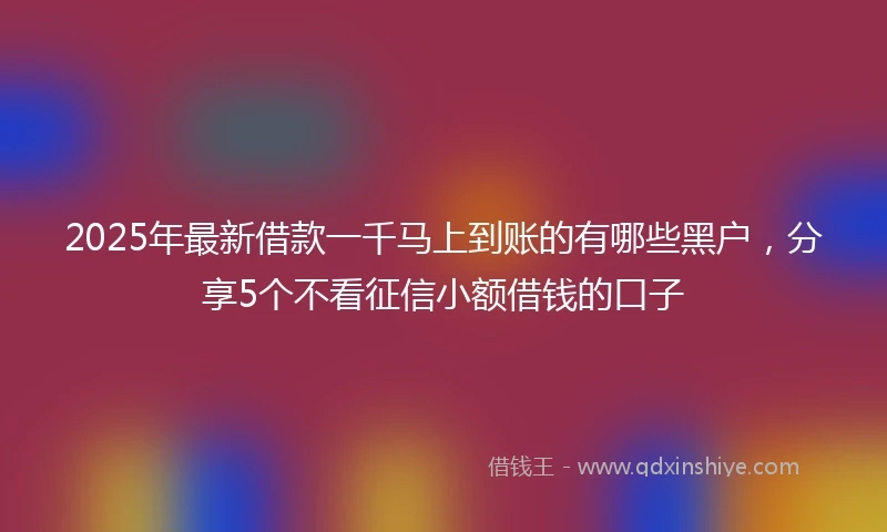 2025年最新借款一千马上到账的有哪些黑户，分享5个不看征信小额借钱的口子