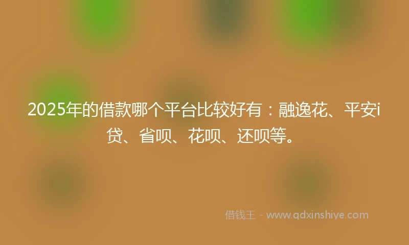 2025年的借款哪个平台比较好有：融逸花、平安i贷、省呗、花呗、还呗等。