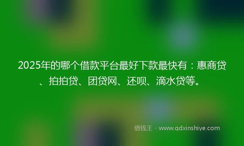 2025年的哪个借款平台最好下款最快有：惠商贷、拍拍贷、团贷网、还呗、滴水贷等。