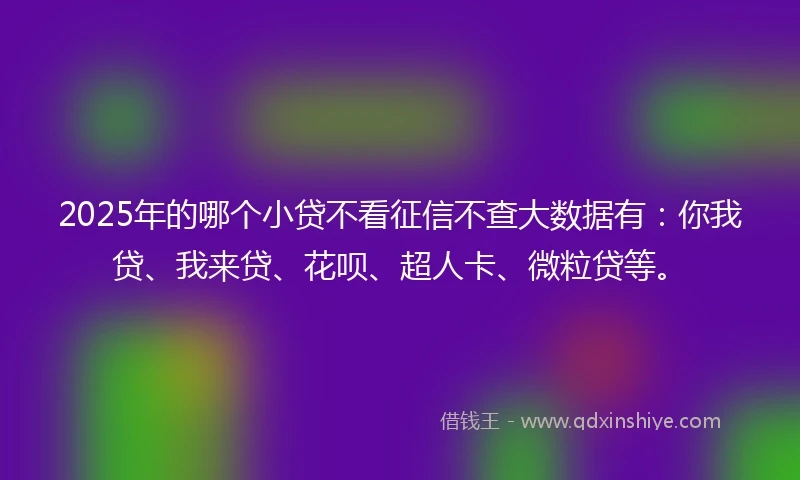 2025年的哪个小贷不看征信不查大数据有：你我贷、我来贷、花呗、超人卡、微粒贷等。