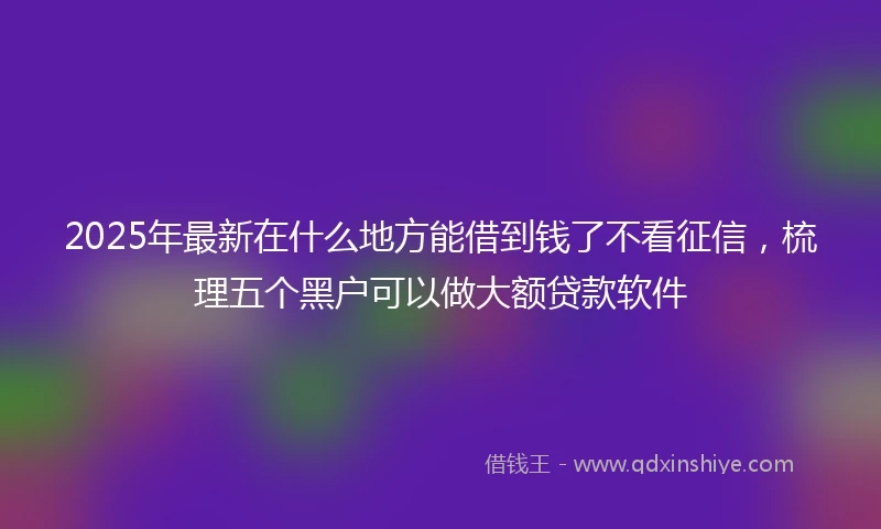 2025年最新在什么地方能借到钱了不看征信，梳理五个黑户可以做大额贷款软件