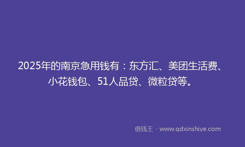 2025年的南京急用钱有：东方汇、美团生活费、小花钱包、51人品贷、微粒贷等。