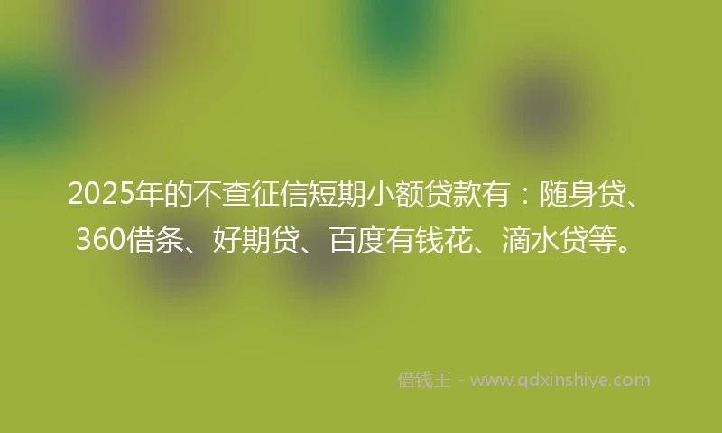 2025年的不查征信短期小额贷款有：随身贷、360借条、好期贷、百度有钱花、滴水贷等。
