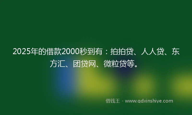 2025年的借款2000秒到有：拍拍贷、人人贷、东方汇、团贷网、微粒贷等。
