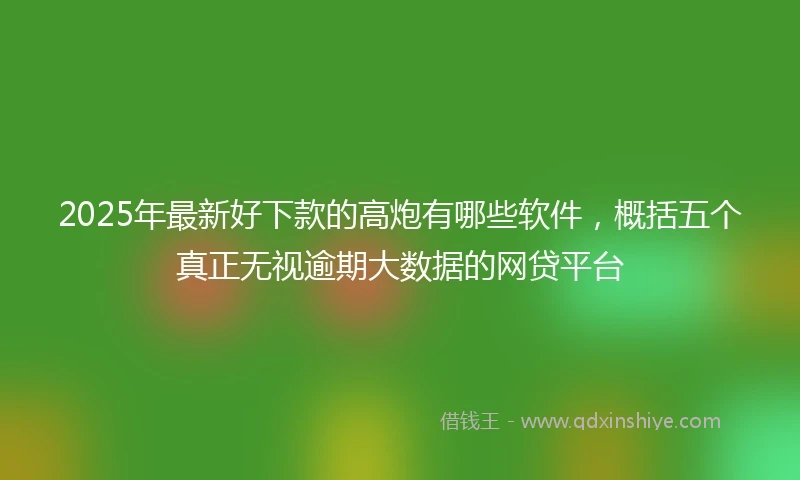2025年最新好下款的高炮有哪些软件，概括五个真正无视逾期大数据的网贷平台