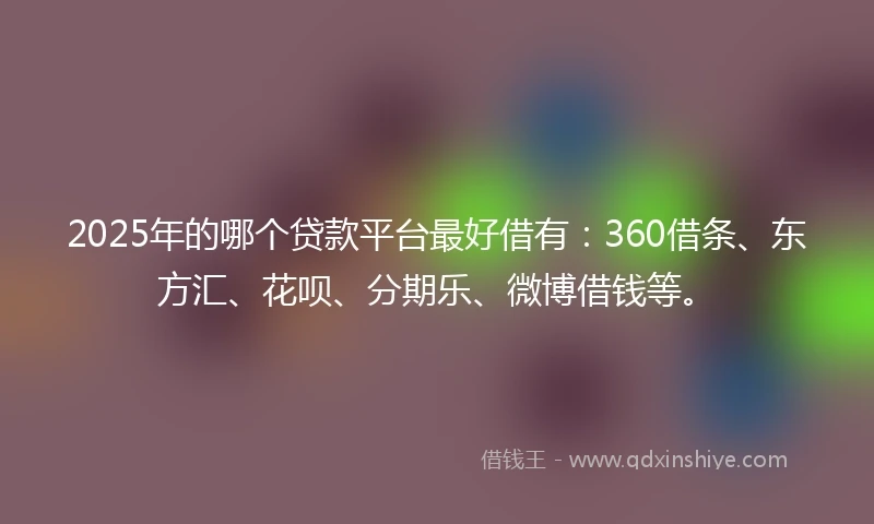 2025年的哪个贷款平台最好借有：360借条、东方汇、花呗、分期乐、微博借钱等。