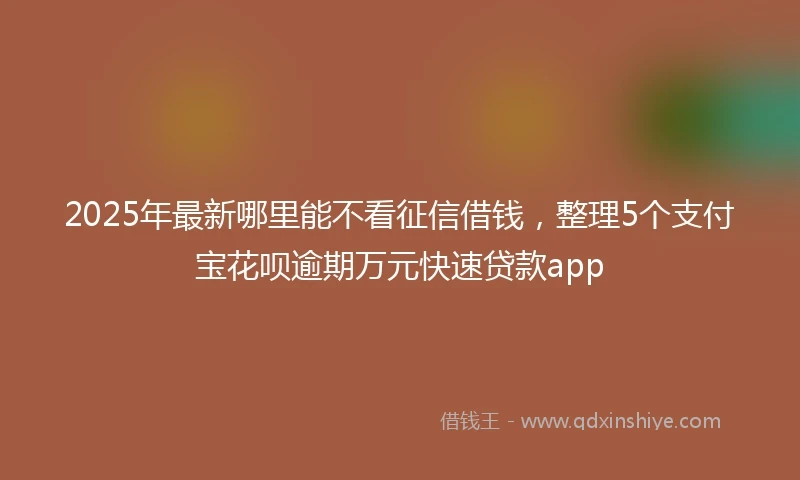 2025年最新哪里能不看征信借钱，整理5个支付宝花呗逾期万元快速贷款app