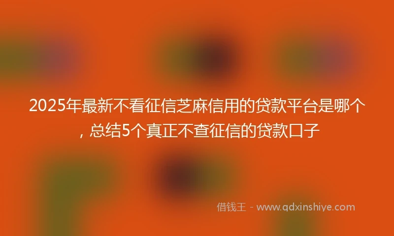 2025年最新不看征信芝麻信用的贷款平台是哪个，总结5个真正不查征信的贷款口子