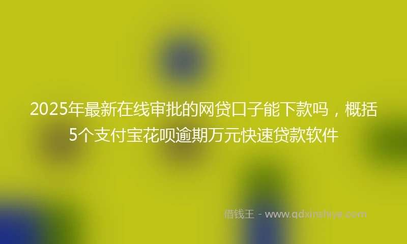 2025年最新在线审批的网贷口子能下款吗，概括5个支付宝花呗逾期万元快速贷款软件