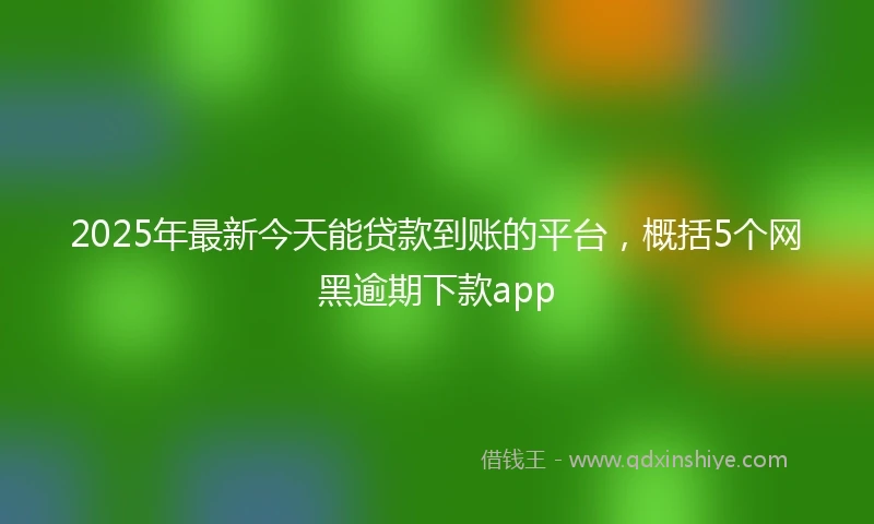 2025年最新今天能贷款到账的平台，概括5个网黑逾期下款app