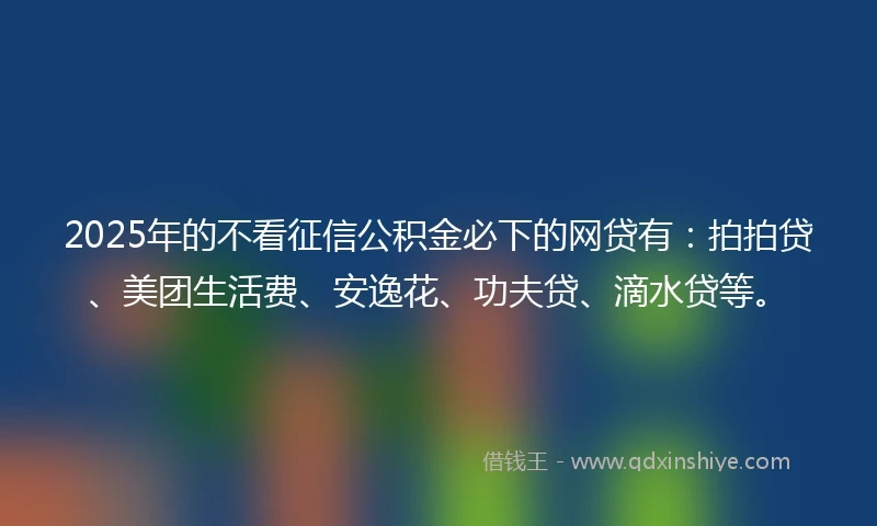 2025年的不看征信公积金必下的网贷有：拍拍贷、美团生活费、安逸花、功夫贷、滴水贷等。