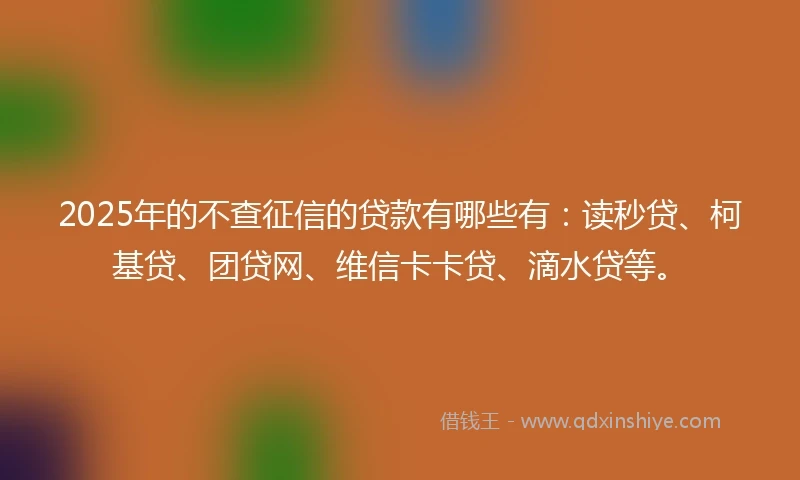 2025年的不查征信的贷款有哪些有：读秒贷、柯基贷、团贷网、维信卡卡贷、滴水贷等。