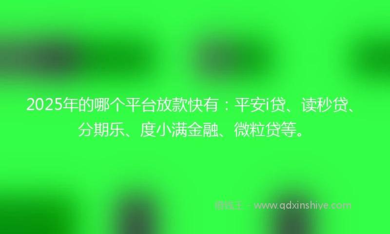 2025年的哪个平台放款快有：平安i贷、读秒贷、分期乐、度小满金融、微粒贷等。