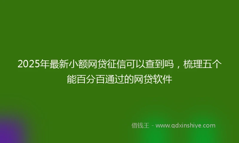 2025年最新小额网贷征信可以查到吗，梳理五个能百分百通过的网贷软件