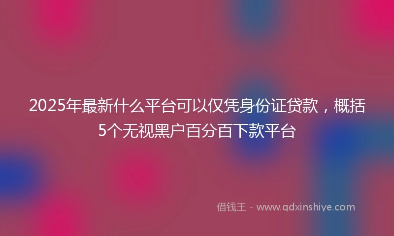 2025年最新什么平台可以仅凭身份证贷款，概括5个无视黑户百分百下款平台