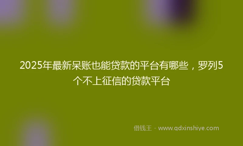 2025年最新呆账也能贷款的平台有哪些，罗列5个不上征信的贷款平台
