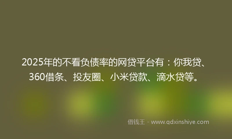 2025年的不看负债率的网贷平台有：你我贷、360借条、投友圈、小米贷款、滴水贷等。